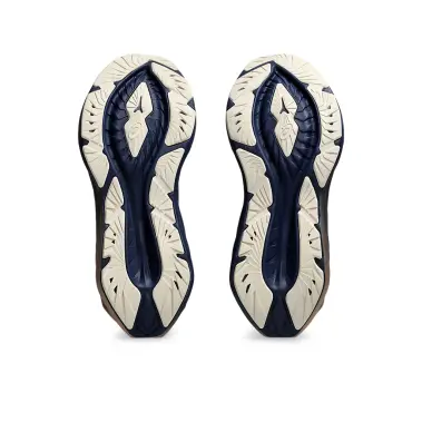 Asics Novablast 4 Platinum Women's - Browns Shoe Fit Company